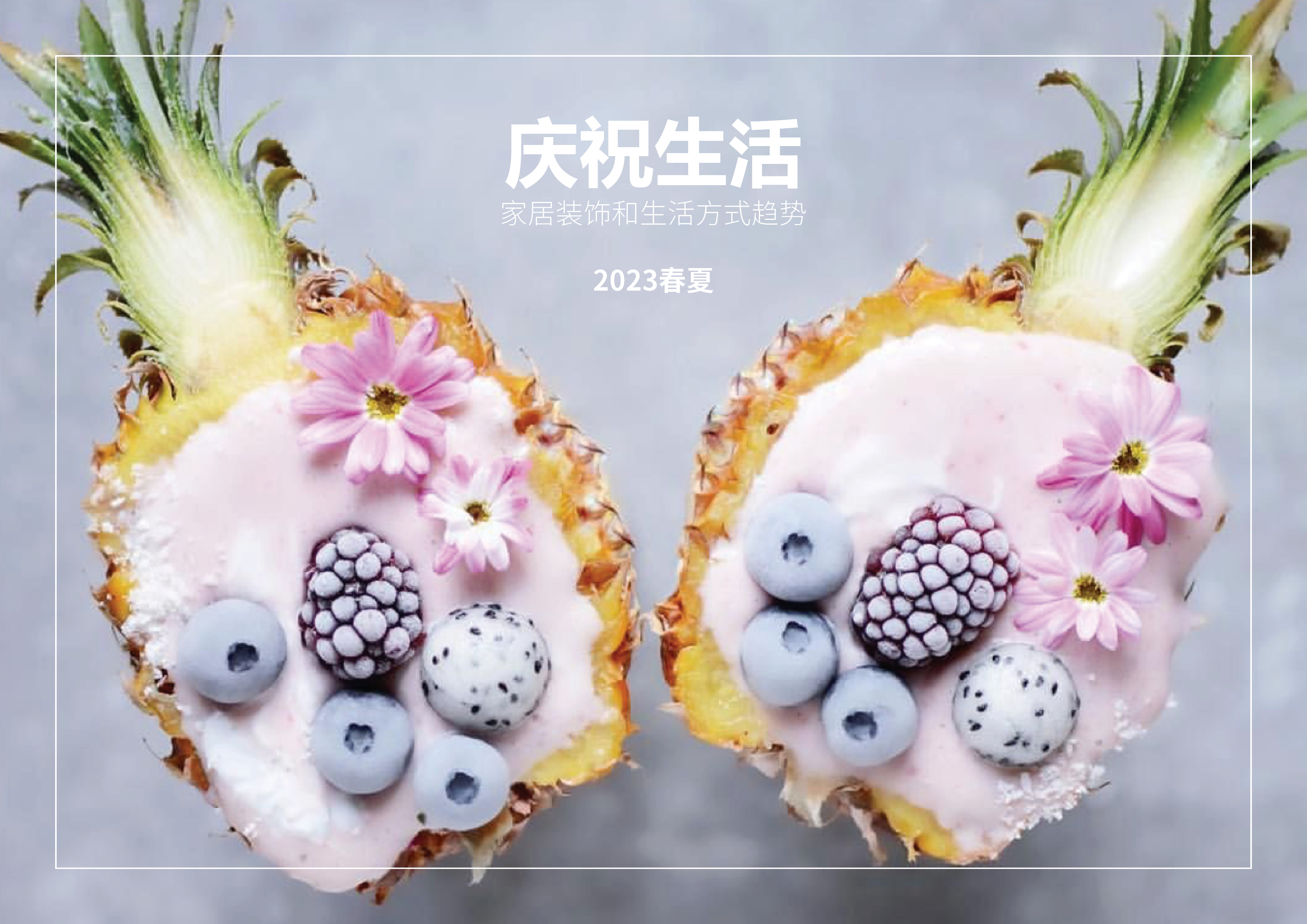 2023春夏家居装饰和生活方式趋势预测 -- 庆祝生活（中文版）